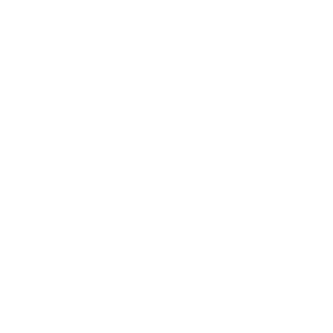instagram_icon